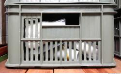 Photo of Mixed Textures